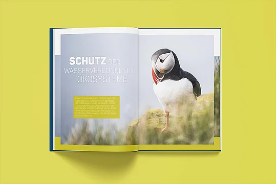 EDITORIAL DESIGN Bild 1