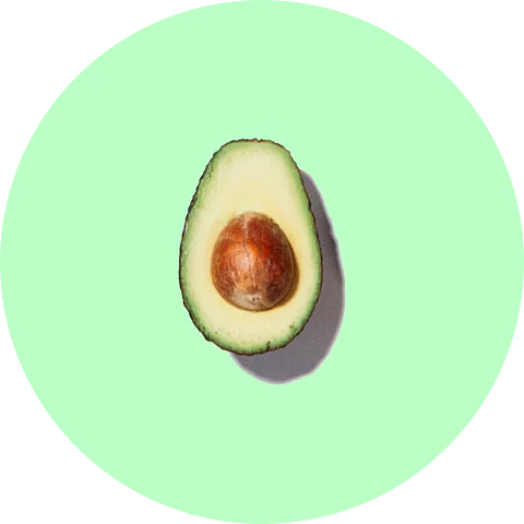 epicavocado