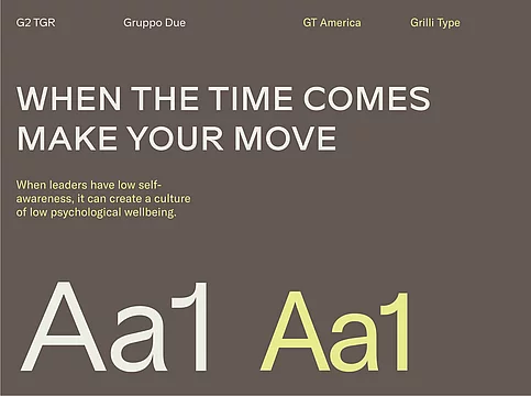 Arieli & Company — Brand Identity Bild 3