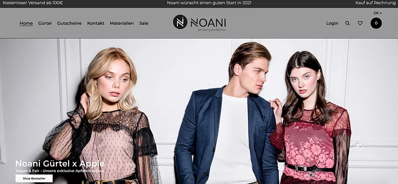 Webshop Entwicklung für Noanifashion Bild 1