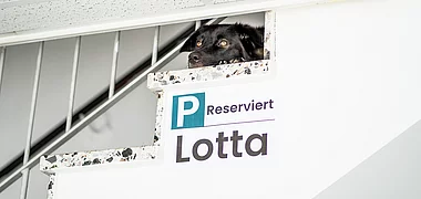 malocherkind | Werbeagentur in Dortmund Impression 4