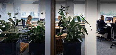 Webmen Internet GmbH Impression 4