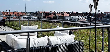 brandcom Impression 3