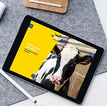 Tierisches Content Marketing: PetAir Bild 1
