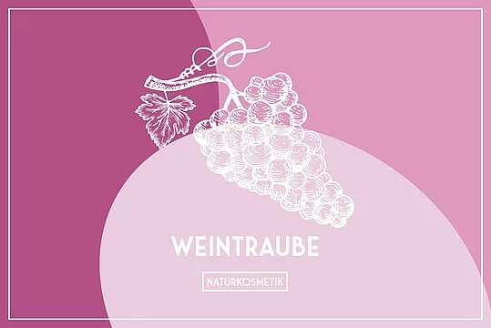 VERPACKUNGSDESIGN Bild 5
