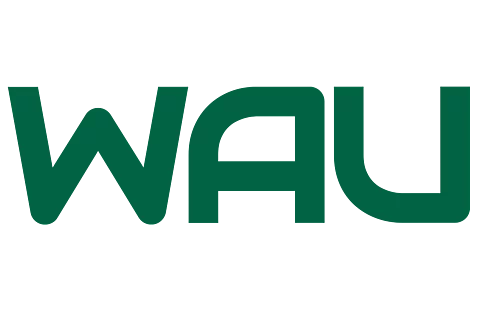 Patrick Schmid | WAUMEDIA | SEO