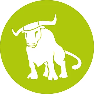 STEERMEDIA
