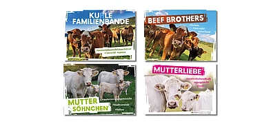 b4c - Brands for Consumers Werbeagentur Impression 7