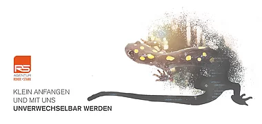 Agentur Rohde+Stark Impression 1