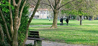 Leitsinn Impression 2