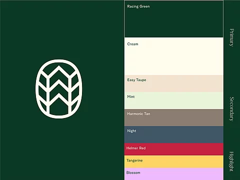Careville — Brand Identity Bild 6