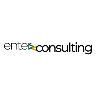 enter:consulting
