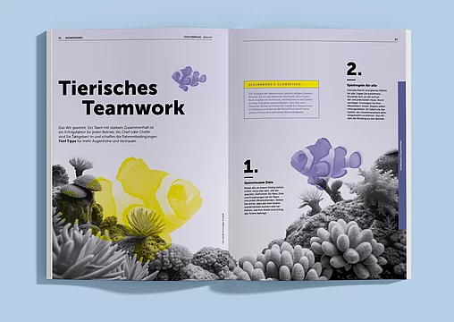 B2B-Kundenmagazin "Marktimpulse" Bild 8