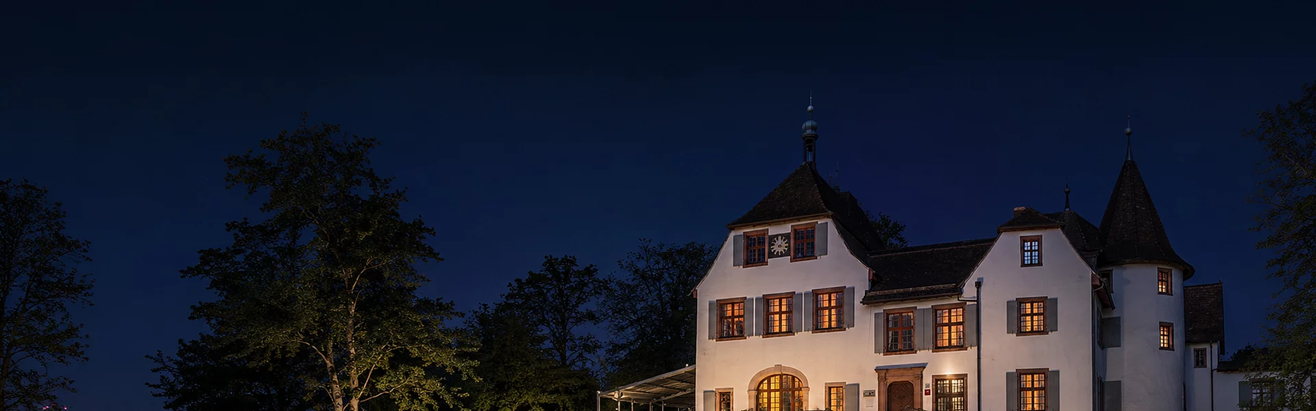 Webagentur in Binningen gesucht? Die besten Webagenturen in Binningen im Vergleich