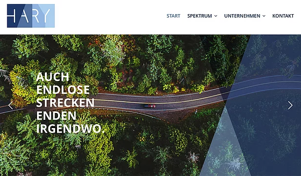 Hary AG — Webseite, Corporate Design, Logoentwicklung Bild 2
