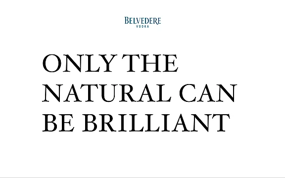 Belvedere Vodka Bild 2