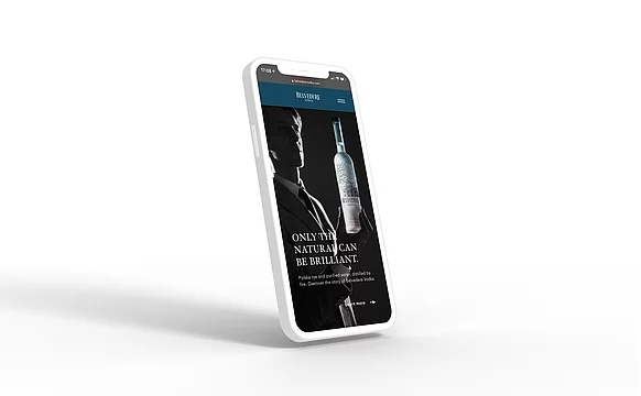 Belvedere Vodka Bild 6