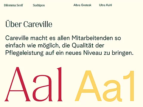 Careville — Brand Identity Bild 4