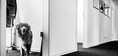 weitkamp marketing GmbH Impression 2